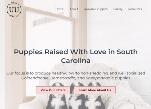 How doubleudoodles.com looks like on a tablet such as an iPad.