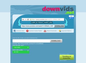 How downvids.net looks like on a tablet such as an iPad.