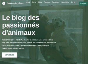 How droles-de-betes.com looks like on a tablet such as an iPad.