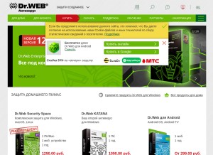 How drweb.ru looks like on a tablet such as an iPad.