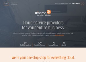 How dtstech.net looks like on a tablet such as an iPad.