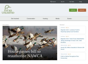 How ducks.org looks like on a tablet such as an iPad.