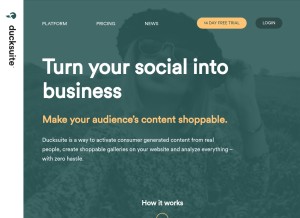 How ducksuite.com looks like on a tablet such as an iPad.