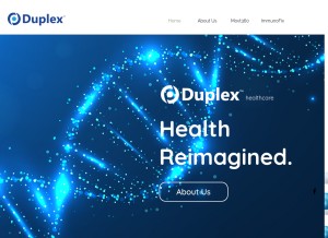 How duplex.com.my looks like on a tablet such as an iPad.