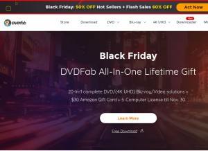 How dvdfab.cn looks like on a tablet such as an iPad.