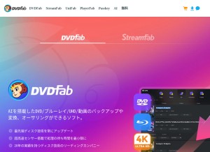 How dvdfab.org looks like on a tablet such as an iPad.