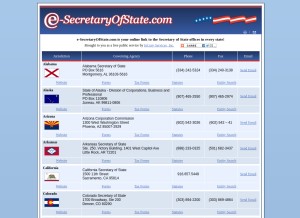 How e-secretaryofstate.com looks like on a tablet such as an iPad.