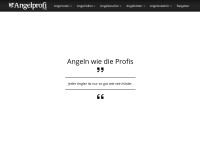 Desktop screenshot for angelprofi.org