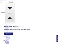 Desktop screenshot for viranijewelers.com