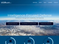 Desktop screenshot for thedigitrustgroup.com