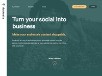 Desktop screenshot for ducksuite.com