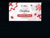 Desktop screenshot for bsetec.com