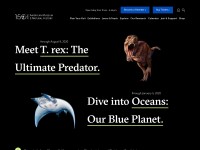 Desktop screenshot for amnh.org