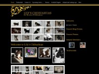 Desktop screenshot for lilyschihuahuas.com