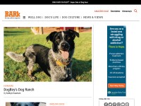 Desktop screenshot for thebark.com