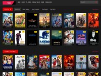 Desktop screenshot for flenix.live