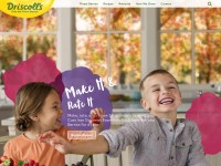 Desktop screenshot for driscolls.com