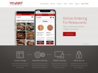 Desktop screenshot for brygid.com