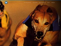 Desktop screenshot for wmg.com