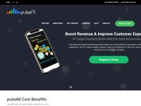 Desktop screenshot for pulsem.me