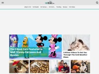 Desktop screenshot for cattime.com