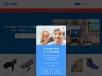 Desktop screenshot for saebo.com