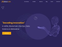 Desktop screenshot for mooglelabs.com