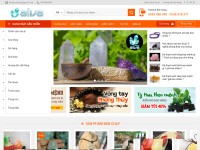 Desktop screenshot for aiva.com.vn