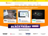 Desktop screenshot for radins.com