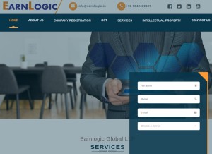 How earnlogic.in looks like on a tablet such as an iPad.