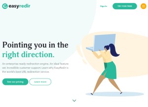 How easyredirengine.com looks like on a tablet such as an iPad.