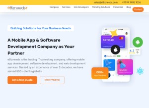 How ebizneeds.com looks like on a tablet such as an iPad.