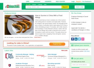 How echinacities.com looks like on a tablet such as an iPad.