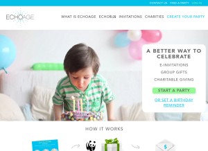 How echoage.com looks like on a tablet such as an iPad.