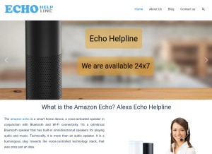 How echohelpline.com looks like on a tablet such as an iPad.