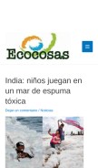 How ecocosas.com looks like on a mobile device such as an iPhone.