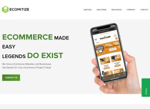 How ecomitize.com looks like on a tablet such as an iPad.