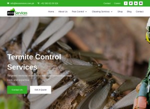 How ecoservices.com.pk looks like on a tablet such as an iPad.