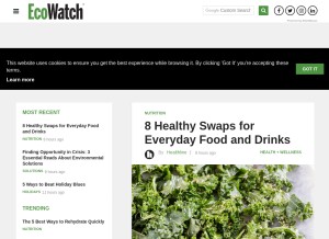 How ecowatch.com looks like on a tablet such as an iPad.