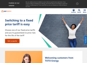 How edfenergy.com looks like on a tablet such as an iPad.