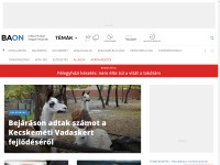 Desktop screenshot for baon.hu