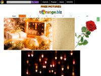Desktop screenshot for torange.biz