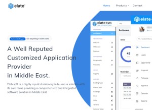 How elatesoft.com looks like on a tablet such as an iPad.