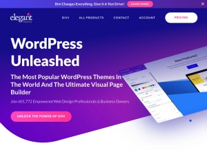 How elegantthemes.com looks like on a tablet such as an iPad.