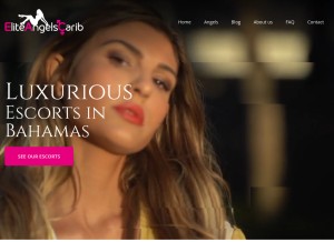 How eliteangelscarib.com looks like on a tablet such as an iPad.