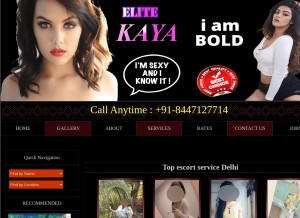 How elitekaya.com looks like on a tablet such as an iPad.