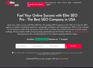 How eliteseopro.com looks like on a tablet such as an iPad.