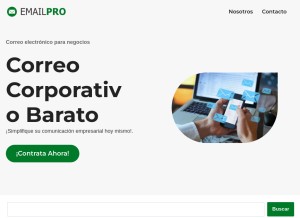 How emailpro.net.pe looks like on a tablet such as an iPad.