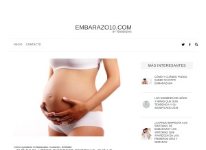 How embarazo10.com looks like on a tablet such as an iPad.
