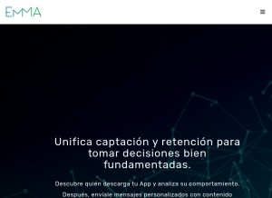 How emmasolutions.net looks like on a tablet such as an iPad.